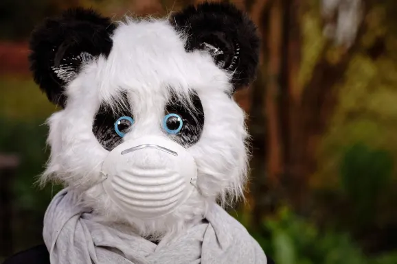 Thunderbolt Kasino Tuki